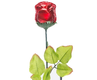 Long Stem Chocolate Rose